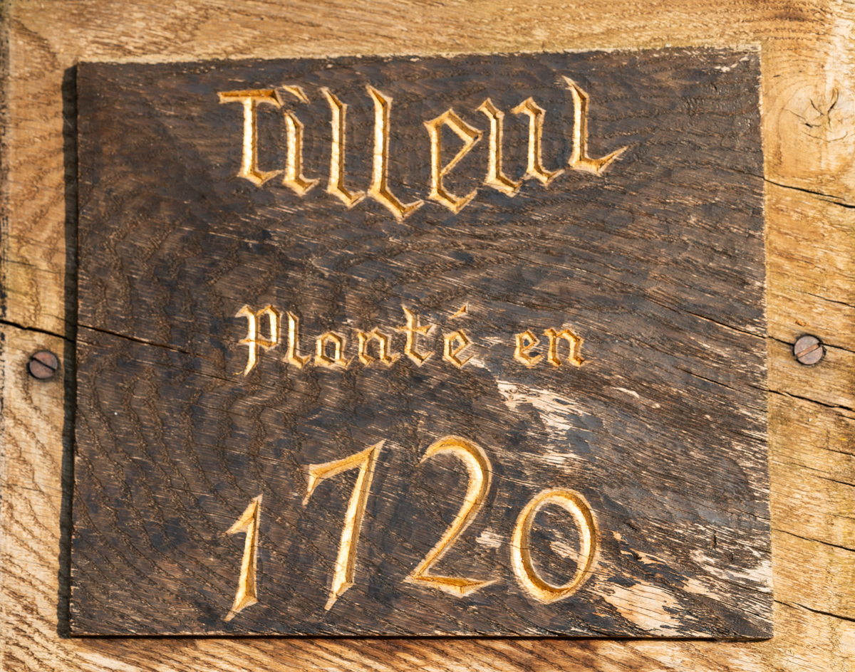 dame marches 1720 date tilleul 001